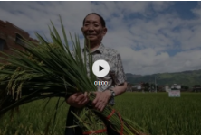 袁隆平又实现了一个“小目标”