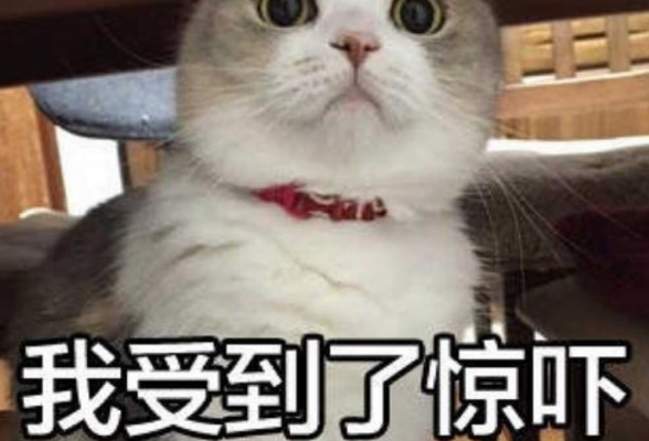 教授躲狗摔伤骨折！犬主被判赔14.3万元