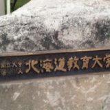 耿爽证实：日本某大学教授涉间谍罪被中国审查