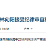 北京市政府原副秘书长林向阳接受审查调查