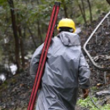 浙江：山核桃采收忙