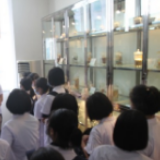 湖南省药检院：新药品管理法对中药质量提升起了巨大作用