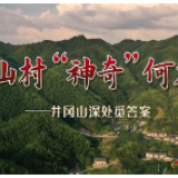走向我们的小康生活丨神山村“神奇”何在？——井冈山深处觅答案