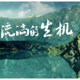 《国家相册》：流淌的生机