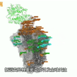全球警惕的“奥密克戎”是个什么来头