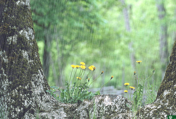 今明两天湖南部分地区阵雨纷扰 15日起全省迎小雨过程