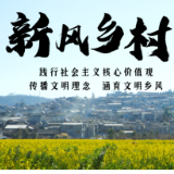 新风乡村 | 人人参与，人人享有！辰溪县新时代文明实践花开遍地！