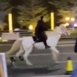 广东街头出现“白马王子”，警方出手了