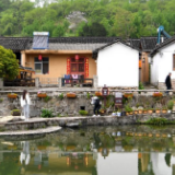 焦桐常青，精神永存——习近平总书记到过的红色圣地之河南篇