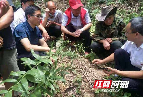 怀化：科普大篷车进农村 科技助力乡村振兴