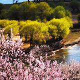 央视快评丨努力建设人与自然和谐共生的现代化