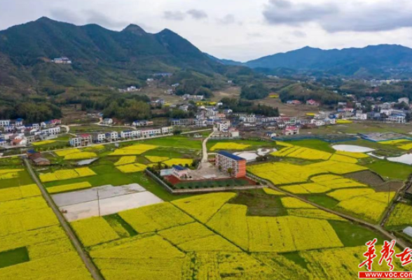 三八妇女节将至湖南各景区推出免票、特惠活动，你想去哪里？
