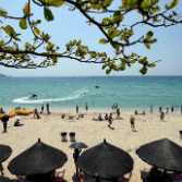 习近平总书记关切事丨“生态立省”，海南正在这样努力