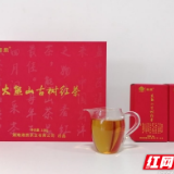 五彩茶展丨屡获金奖！大熊山古树茶迎来新“起点”，开启新“征程”