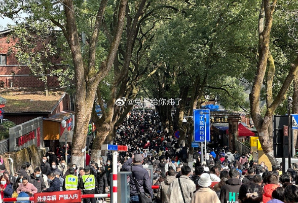 接近最大承载量！刚刚，长沙麓山景区发布通告