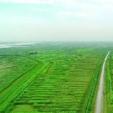 策论三湘 | 破解下塞湖式难题，县级层面需要“四个真”