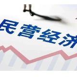 随笔：厚植为民初心，托举民企远航