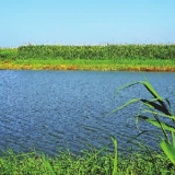 汇聚人民伟力，建设生态文明