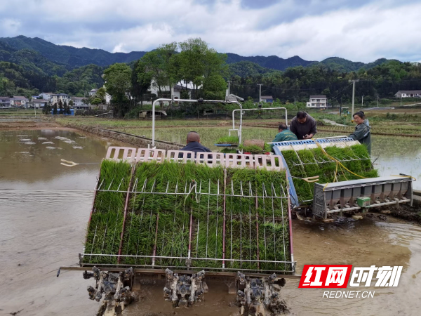 策论三湘 | 推动湖南省际边界地区农民收入增速实现“四个高于”的对策建议