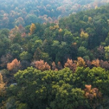 胡宇：通往岳麓山的另一条路