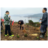 清江镇:开展义务植树活动