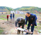资兴税务：6个党支部与11户困难群众结成了“亲戚”