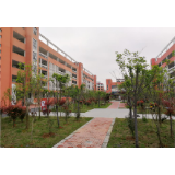 罗围小学：开学复课，我们准备好了！