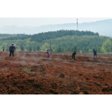 【郴州日报3版】“支部农场”助农增收