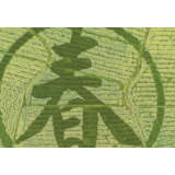 【湖南日报11版】怒放的春天，与您隔空相见