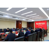 罗成辉调研政务服务工作