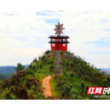 视频 | 10月1日，韶山市杨林乡红林花海项目开始试运营