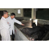 央视《人物故事》丨湘潭吴买生:把论文写在大地上研究员