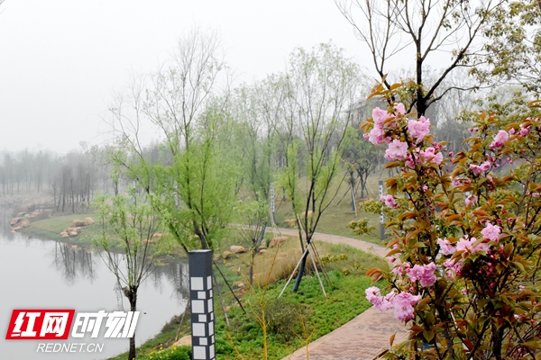DSC_9688_副本.jpg