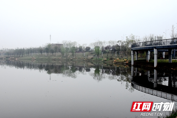 DSC_9681_副本.jpg