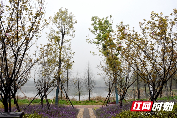 DSC_9730_副本.jpg