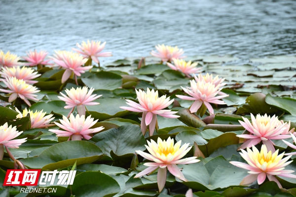 DSC_0057_副本.jpg