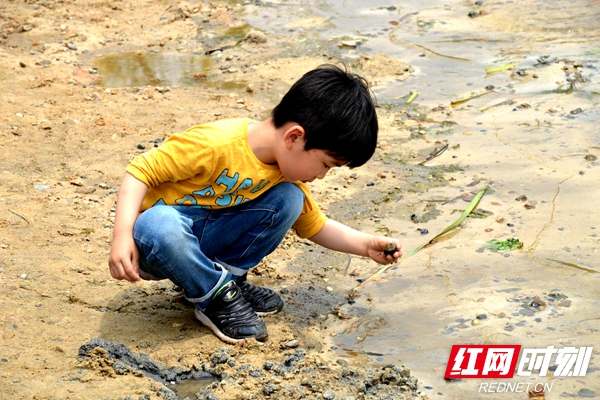 DSC_0074_副本.jpg