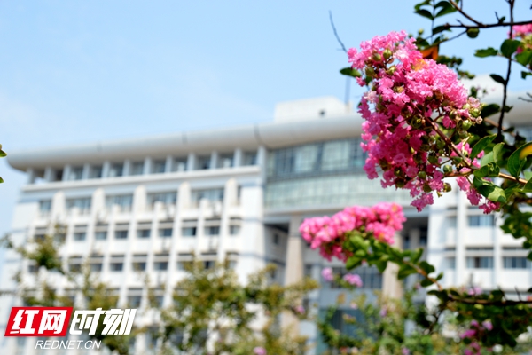 DSC_0481_副本.jpg