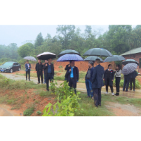 湘潭市高标准农田建设工作现场推进会召开