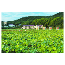 改革经验 ②丨湘潭市：推行农村生活垃圾付费制  激活人居环境整治一盘棋