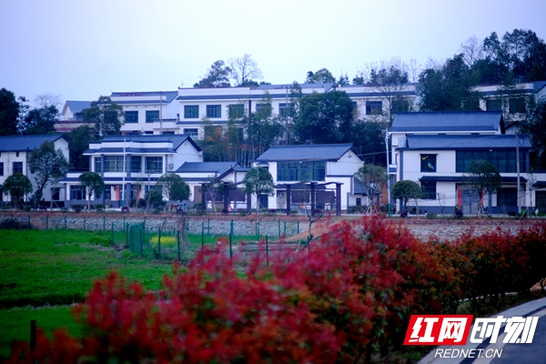 微信图片_20211202222027_副本.jpg