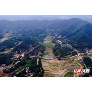 乡村治理系列报道②丨雨湖区龙安村：文明新风入农家 幸福生活喜笑颜
