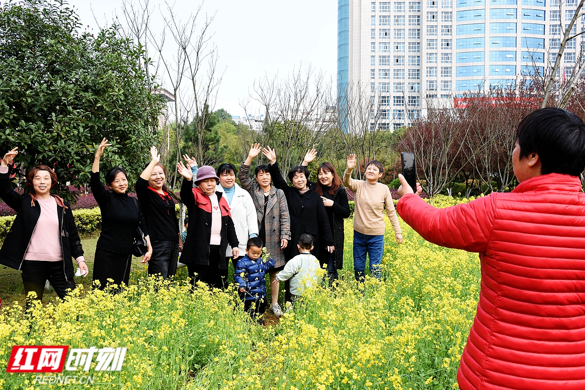 市民组团来蹭油菜花的热度。.jpg