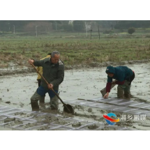 湘乡七旬老人垦荒11年 抛荒地变“大粮仓”
