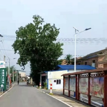 湘潭市“两型”建设赋能乡村振兴（图）