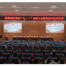 视频丨湘潭城发集团举行“七一”表彰大会