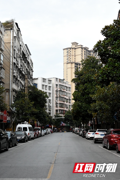DSC_5684_副本.jpg
