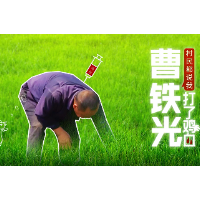 视频 | 湘潭市党代表曹铁光：我就想带着村民致富
