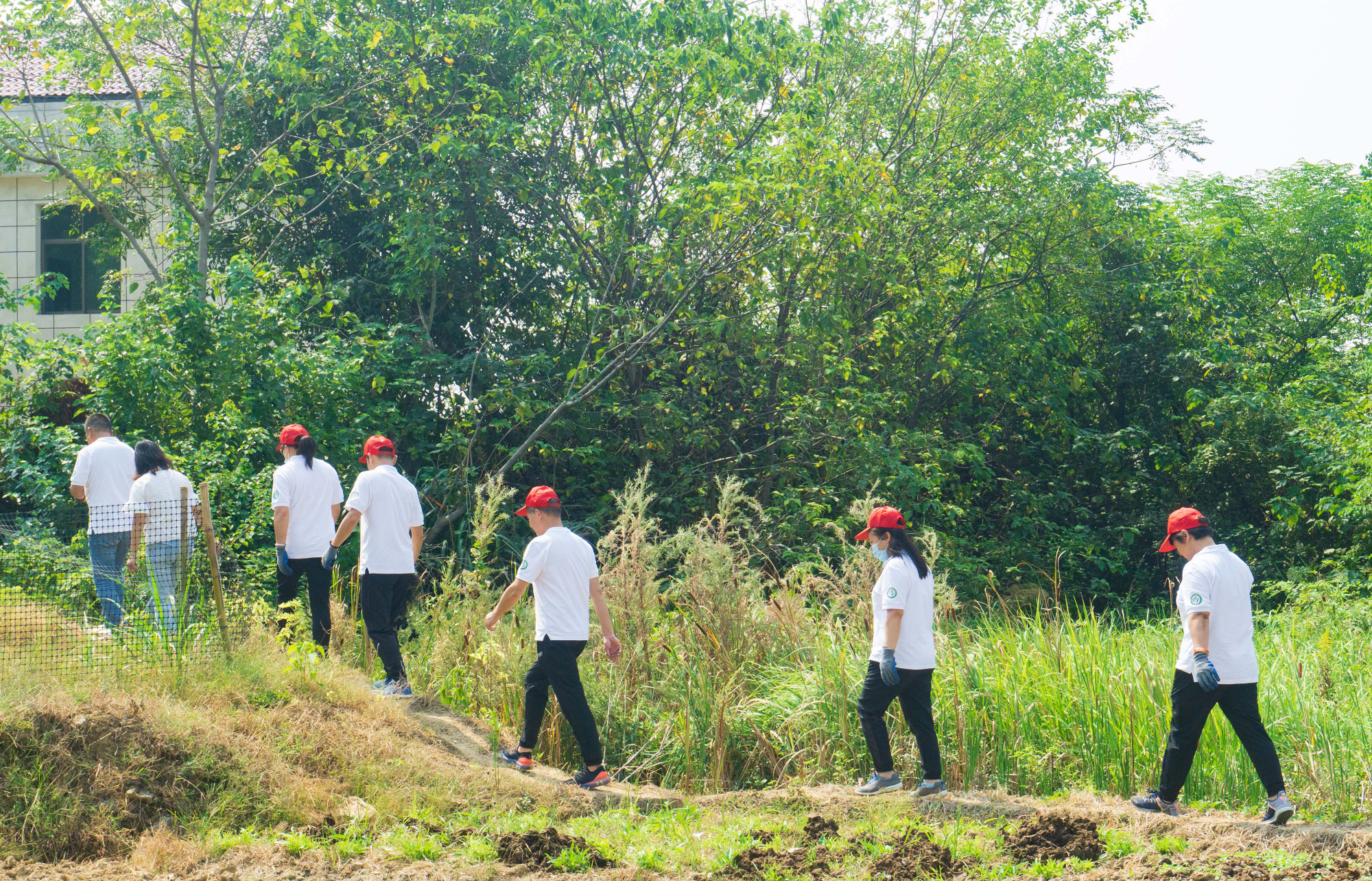 湖南湘潭:221名民间林长参与守护绿色大地(图)