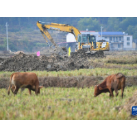 新华社丨湖南湘潭：打造高标准农田